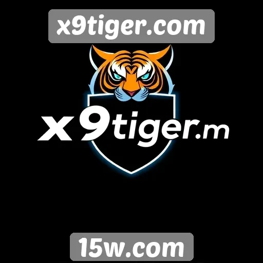 Segurança em transações no site x9tiger.com